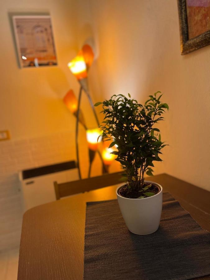 Romeo Apartment リヴォルノ エクステリア 写真